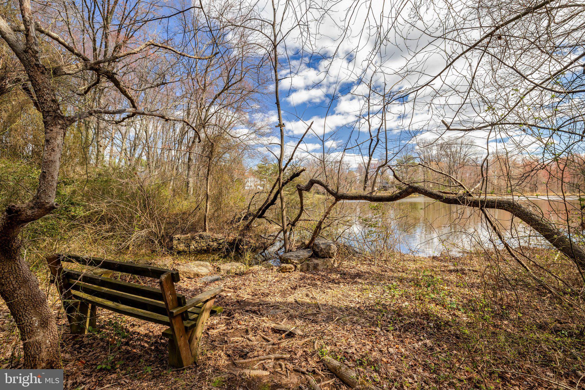 1827 Beulah Road Vienna, VA 22182 - Photo 66 of 91 a backyard of a house with lots of green space