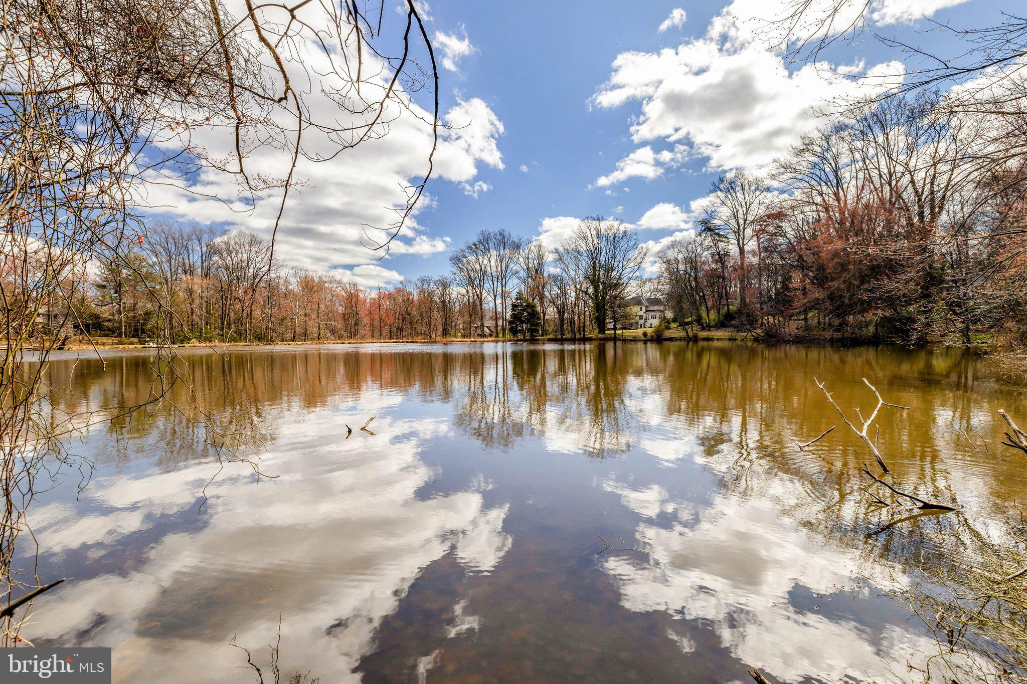 1827 Beulah Road Vienna, VA 22182 - Photo 67 of 91 a view of a large body of water surrounded by trees