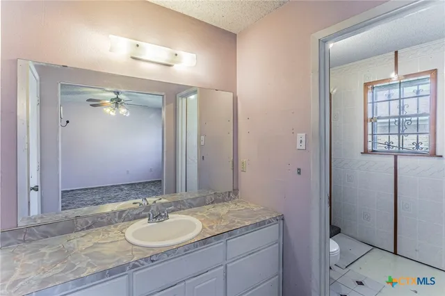 a bathroom with a granite countertop sink and a mirror