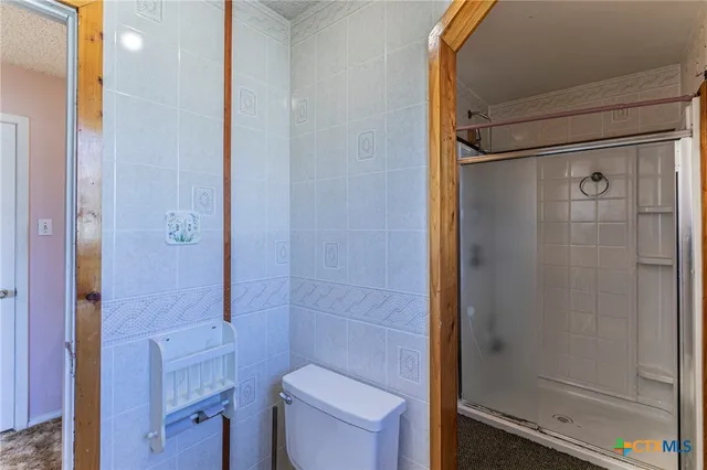 a bathroom with a shower and a toilet