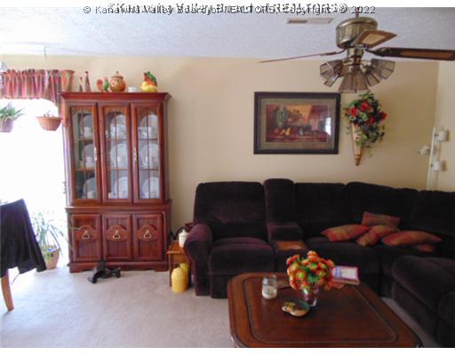 487 Misty River Road Chapmanville, WV 25508 - Photo 13 of 16 Living Room.