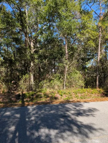 $299,000 | 0 Morrison Avenue, Santa Rosa Beach, FL 32459