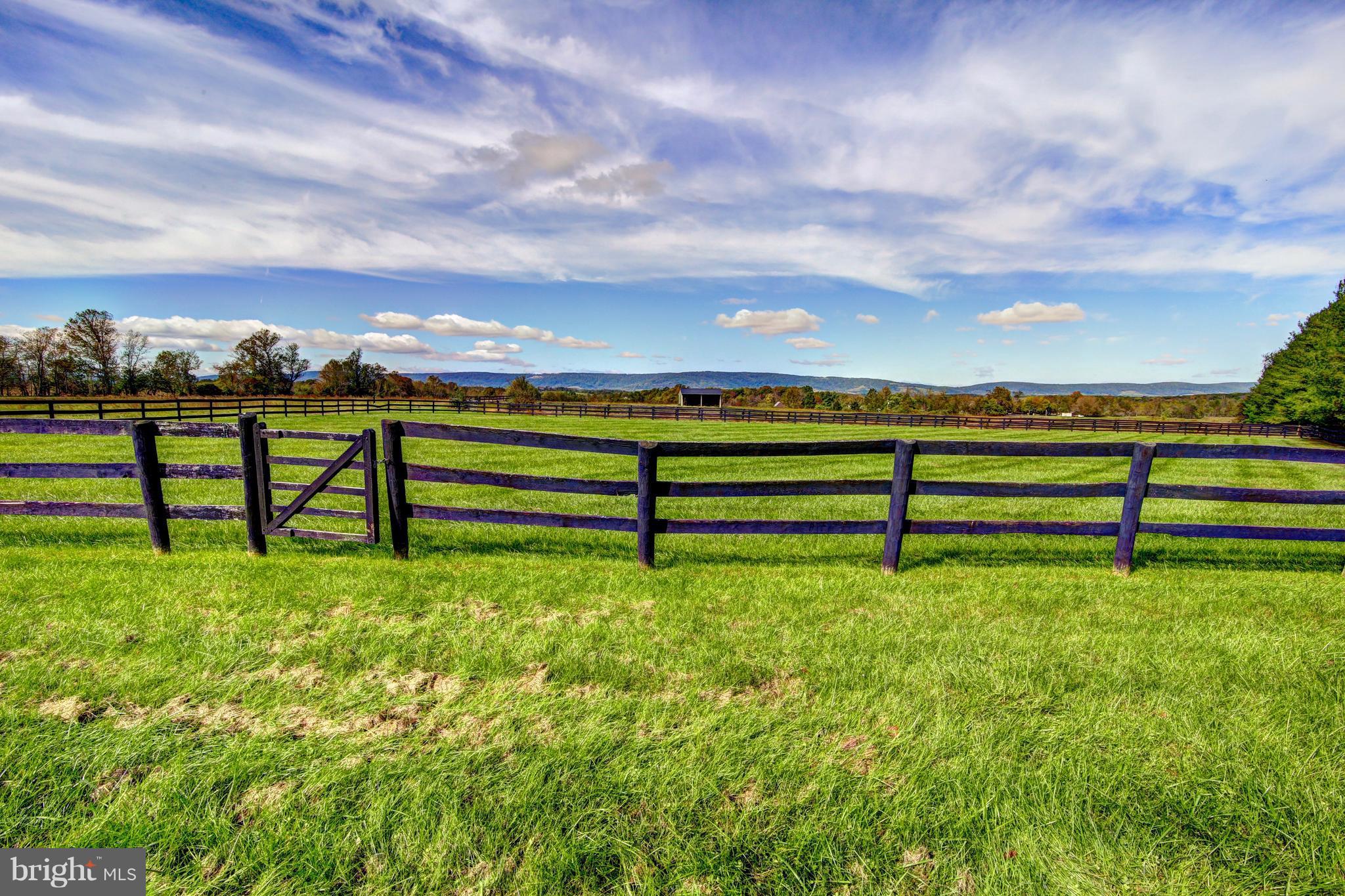 21257 St Louis Road Middleburg, VA 20117 - Photo 3 of 30 Western View