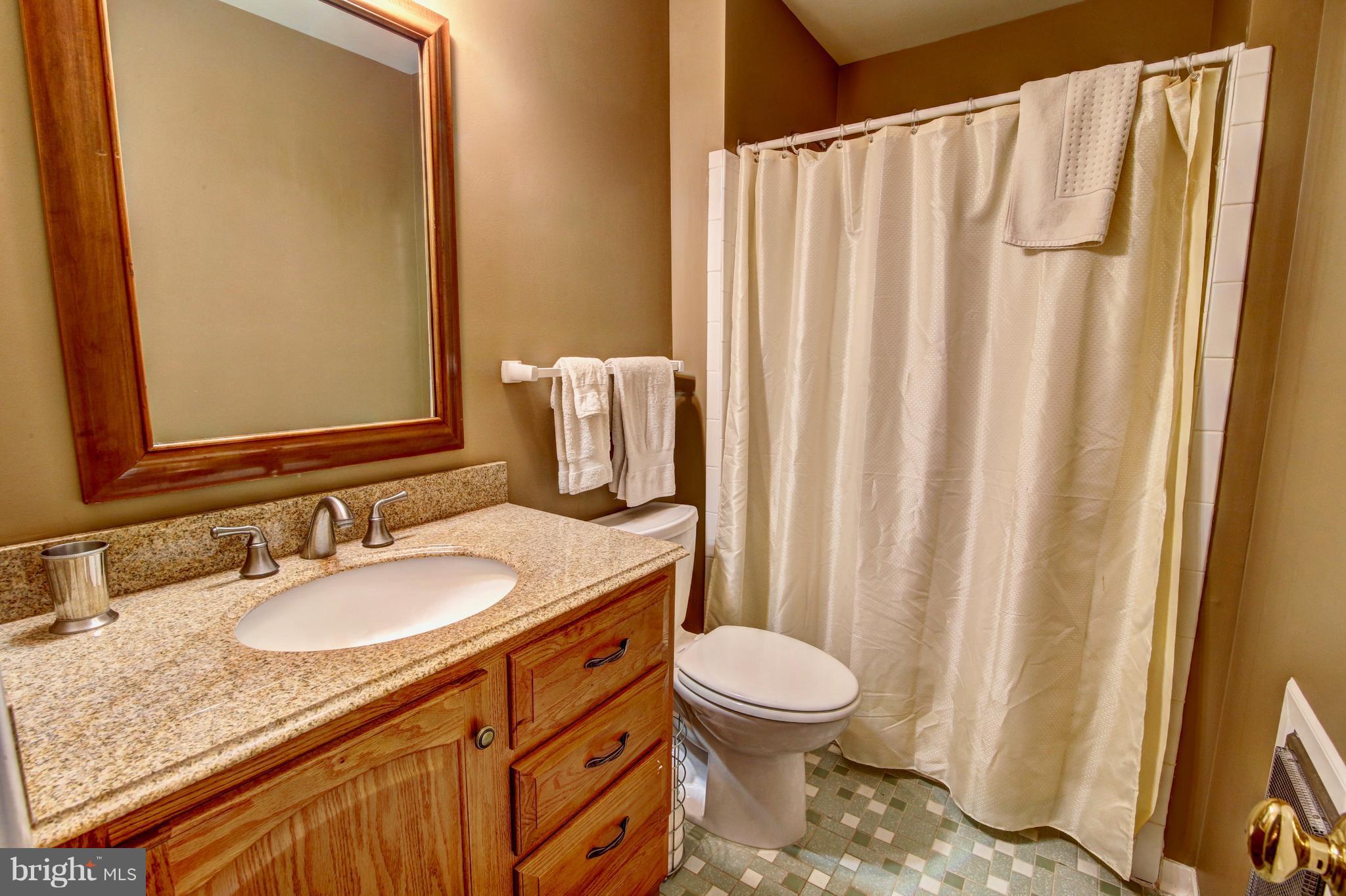 21257 St Louis Road Middleburg, VA 20117 - Photo 21 of 30 Bath