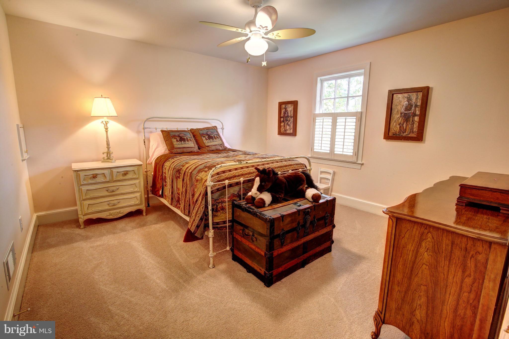 21257 St Louis Road Middleburg, VA 20117 - Photo 26 of 30 5th Bedroom
