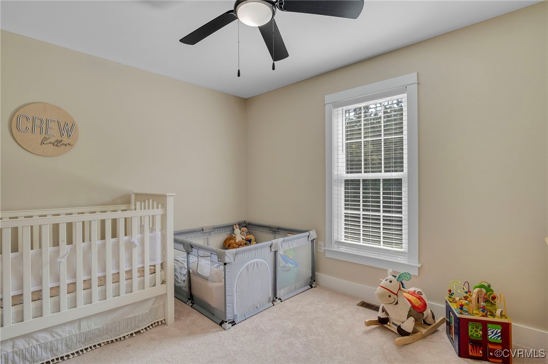 1380 Locust Hill Road Aylett, VA 23009 - Photo 18 of 27 Gallery Image 18