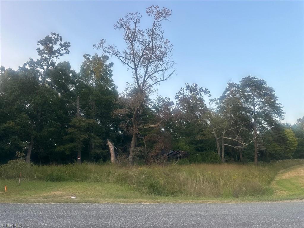 Lot 2 Frank Joyce Road Sandy Ridge, NC 27046 - Photo 2 of 6