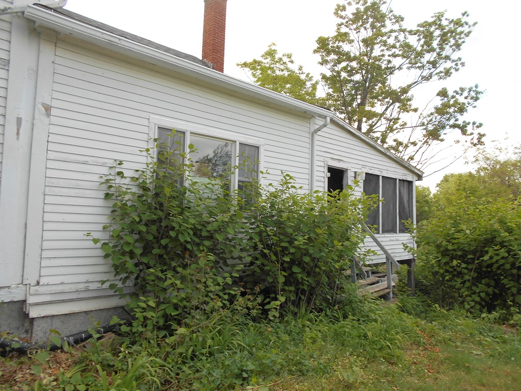 95 Chase Hill Road Warwick, MA 01378 - Photo 2 of 4 a house that has a tree in front of the house