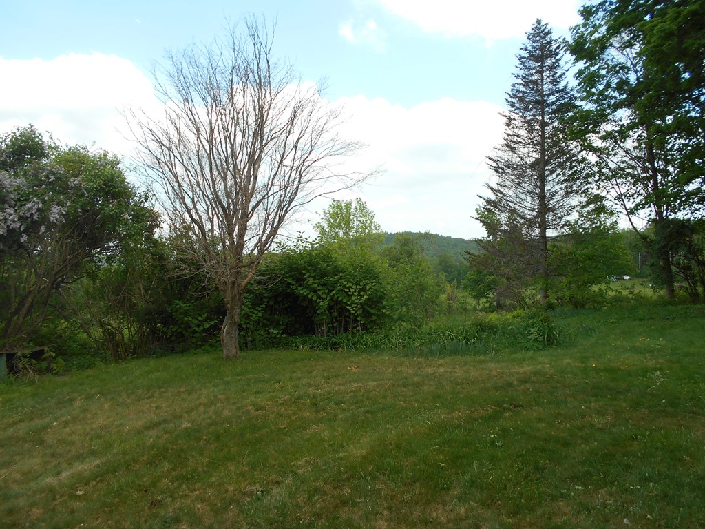 95 Chase Hill Road Warwick, MA 01378 - Photo 3 of 4 a view of a backyard