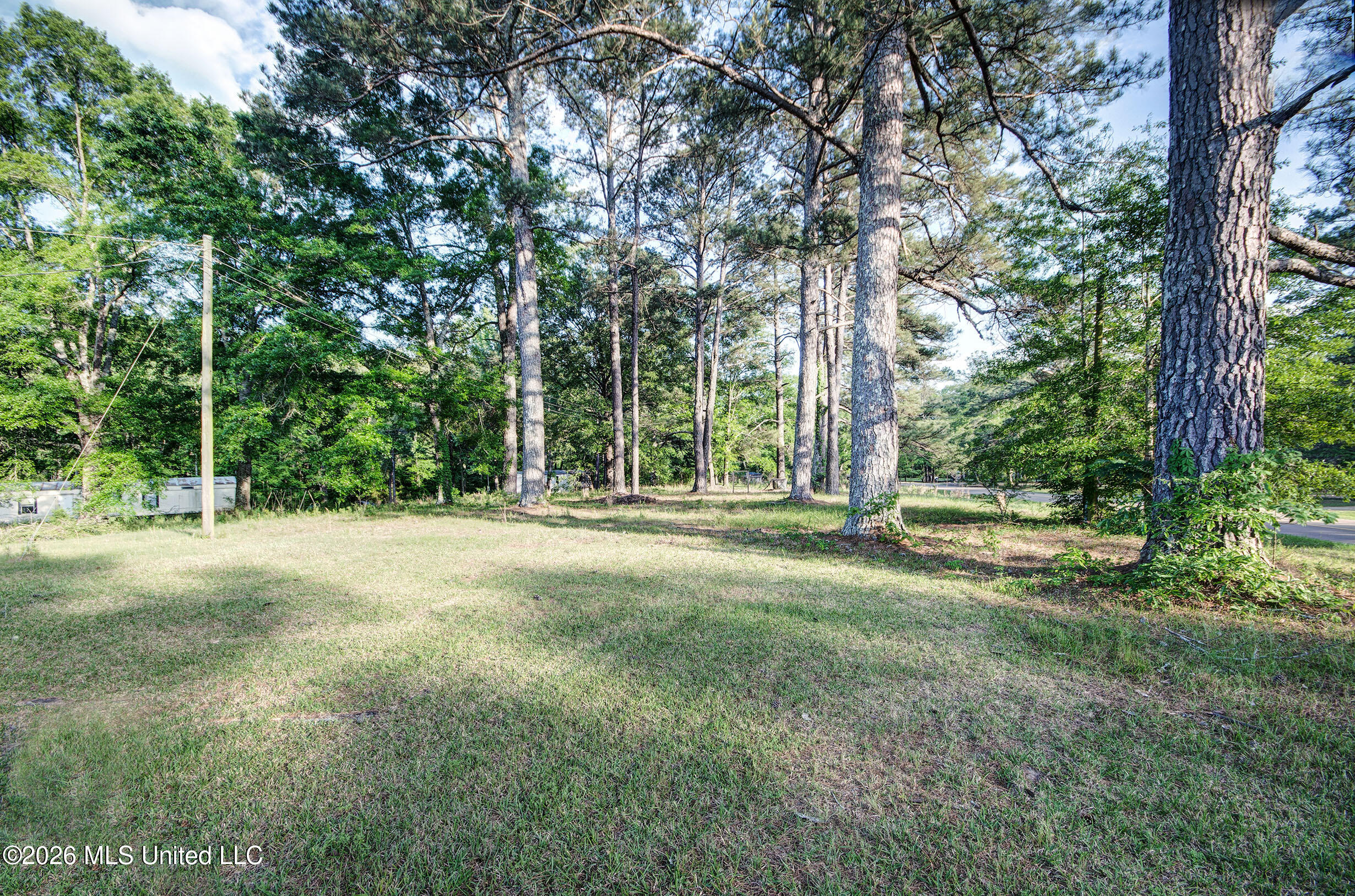 3394 Simpson Highway 149 Braxton, MS 39044 - Photo 32 of 33 IMGP6768_69_70