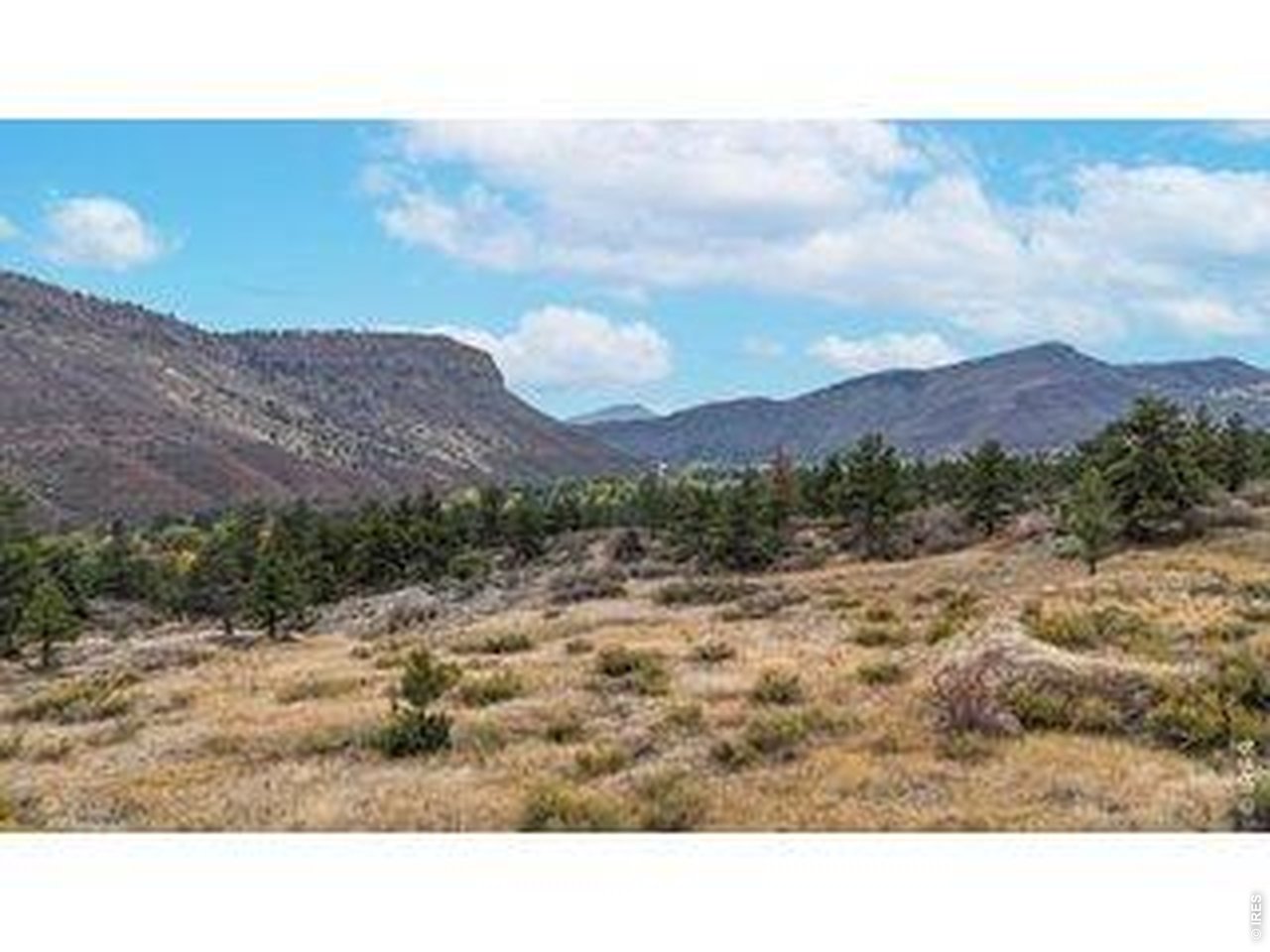 2155 Apple Valley Road Lyons, CO 80540 - Photo 7 of 15