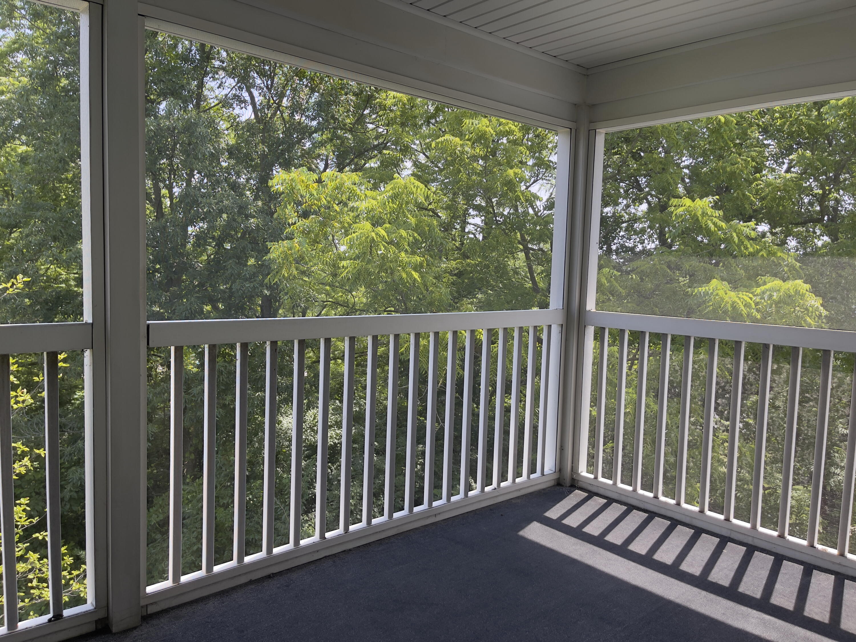 1139 Joyce Lane Ann Arbor, MI 48103 - Photo 7 of 14 IMG_7704 copy