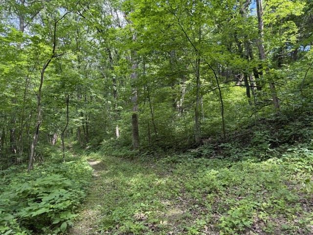 35537 Log House Lane Prairie du Chien, WI 53821 - Photo 32 of 36