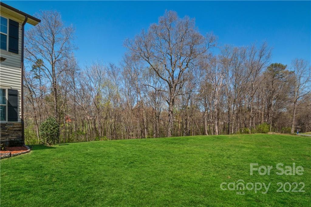 5113 Unionville Road Monroe, NC 28110 - Photo 7 of 43 a view of a yard with large trees