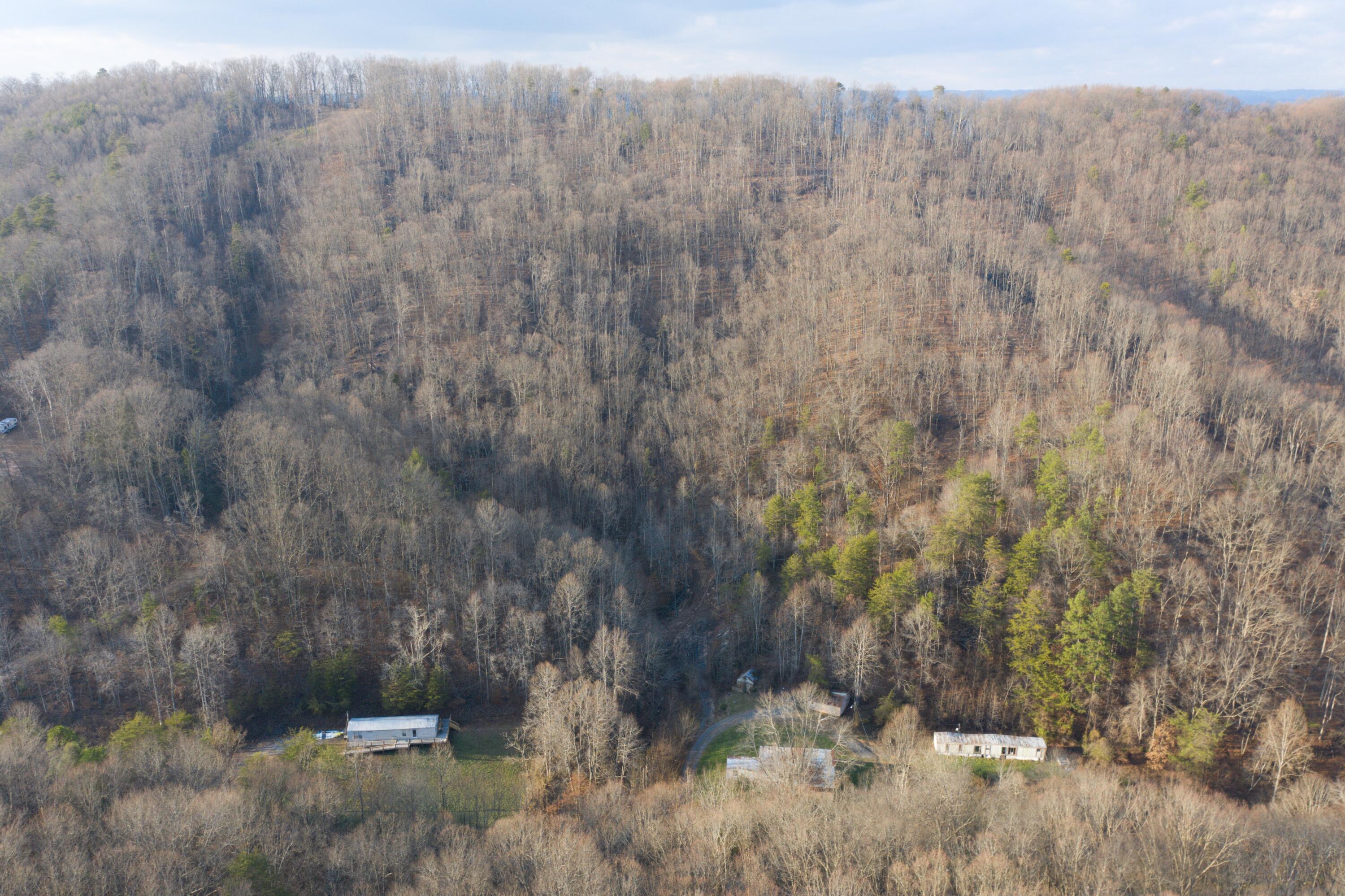 DJI_0317