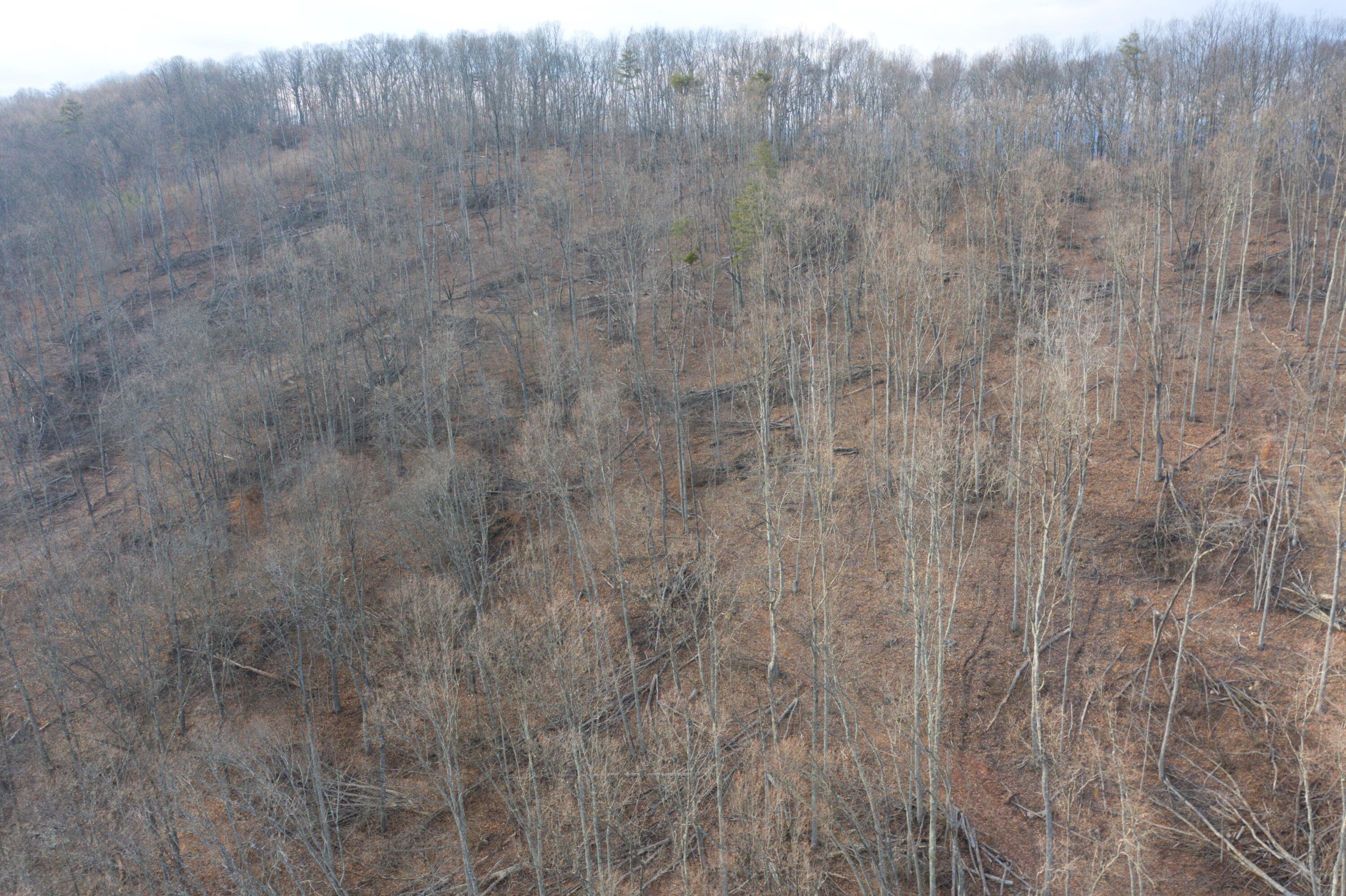 522 Ensor Road Church Hill, TN 37642 - Photo 23 of 30 DJI_0303
