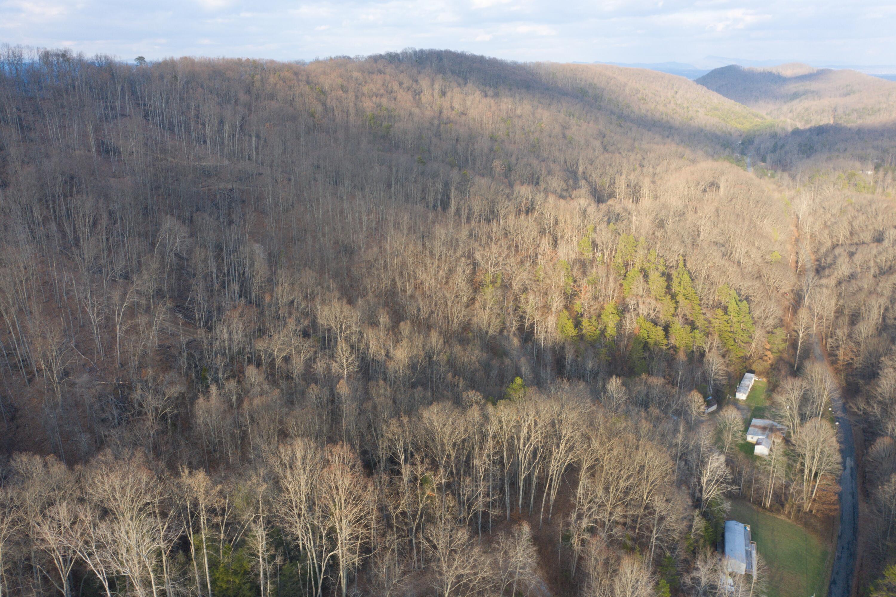 522 Ensor Road Church Hill, TN 37642 - Photo 24 of 30 DJI_0923