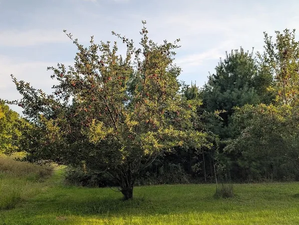 $729,900 | 23443 75th Street, New Auburn, WI 54757