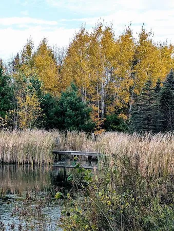 $729,900 | 23443 75th Street, New Auburn, WI 54757