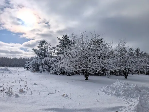 $729,900 | 23443 75th Street, New Auburn, WI 54757