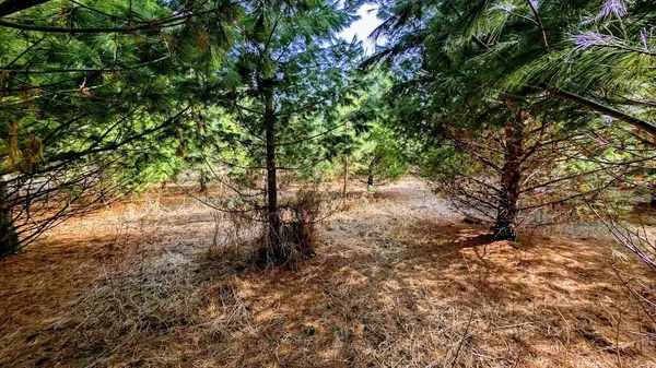 $729,900 | 23443 75th Street, New Auburn, WI 54757