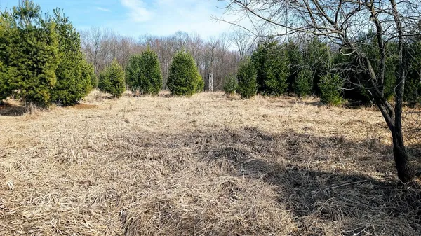 $729,900 | 23443 75th Street, New Auburn, WI 54757