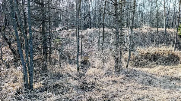 $729,900 | 23443 75th Street, New Auburn, WI 54757