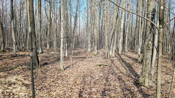 $729,900 | 23443 75th Street, New Auburn, WI 54757