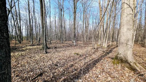 $729,900 | 23443 75th Street, New Auburn, WI 54757