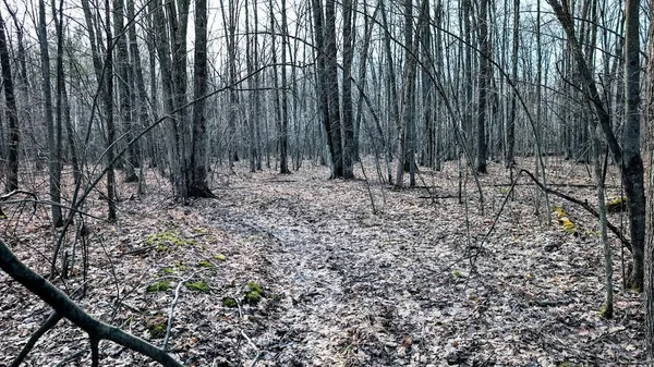 $729,900 | 23443 75th Street, New Auburn, WI 54757