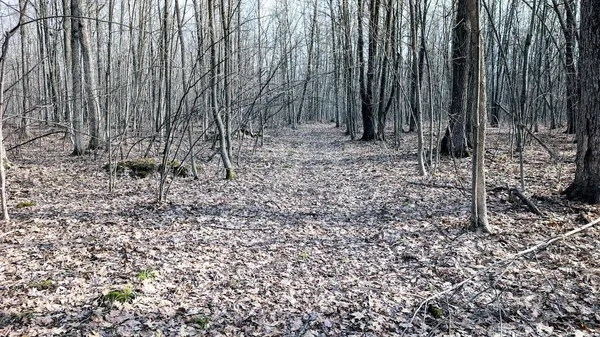 $729,900 | 23443 75th Street, New Auburn, WI 54757