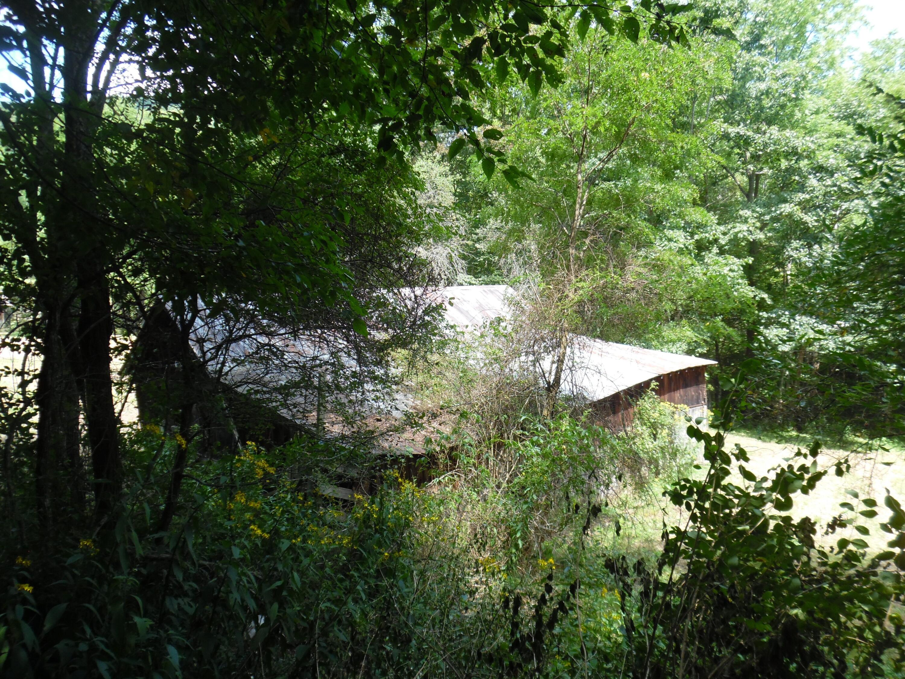 6234 Edray Road Cass, WV 24927 - Photo 10 of 66 Gallery Image 10