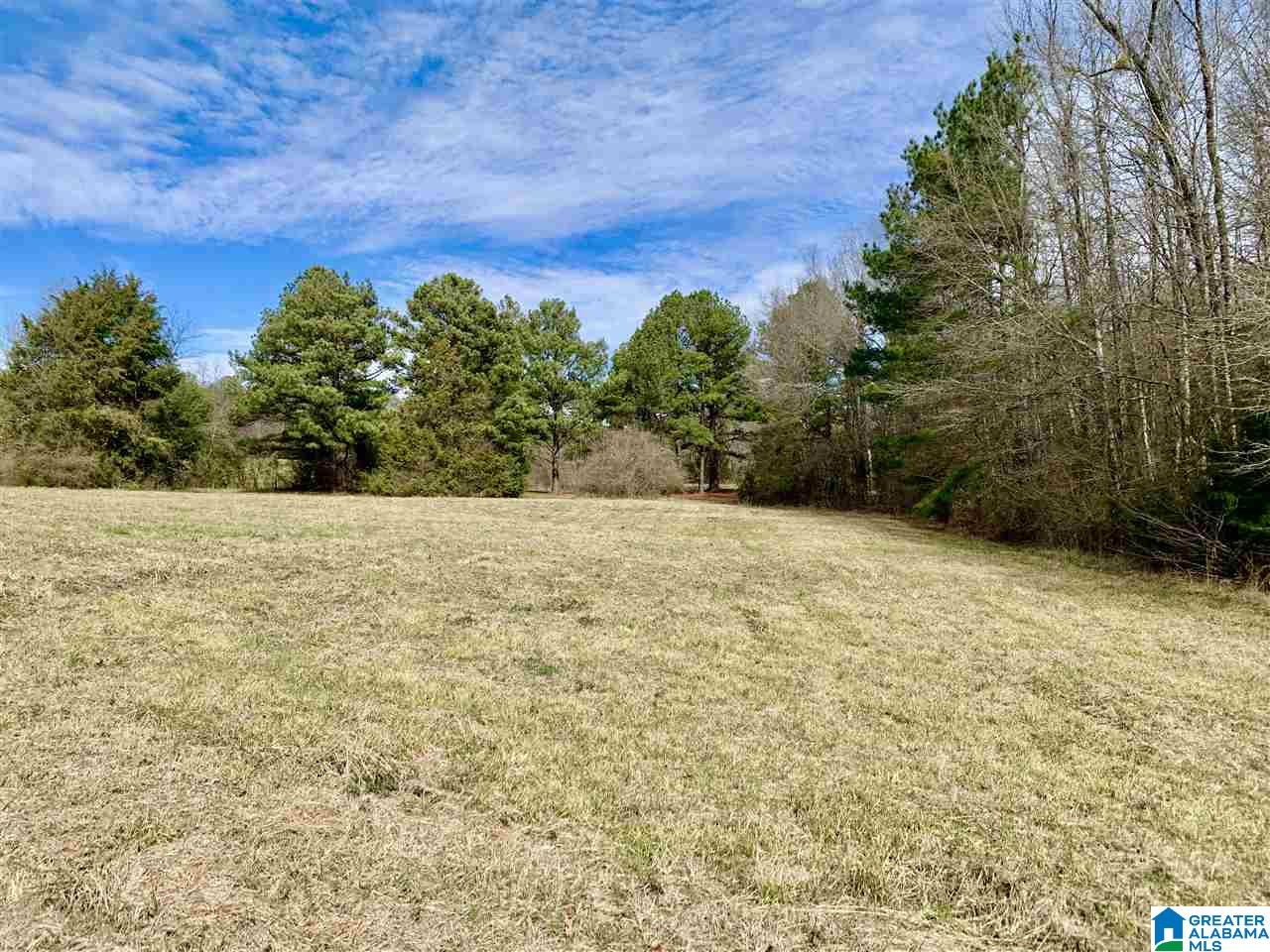 0 County Road 16 Calera, AL 35040 - Photo 11 of 22