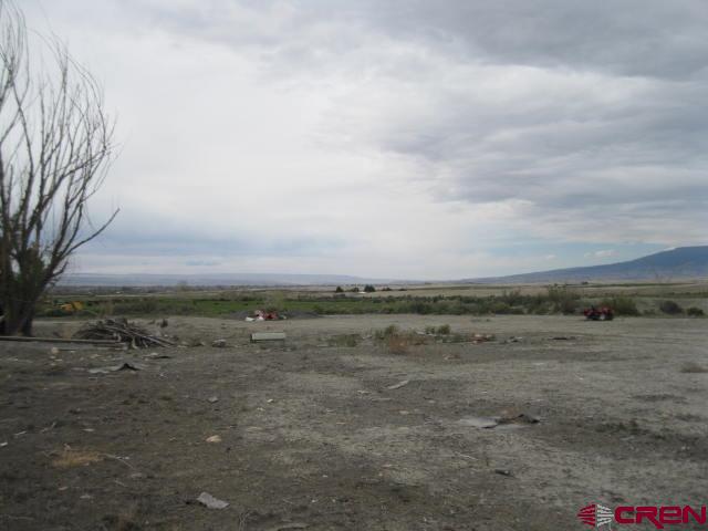 3525 6200th Road Olathe, CO 81425 - Photo 3 of 9