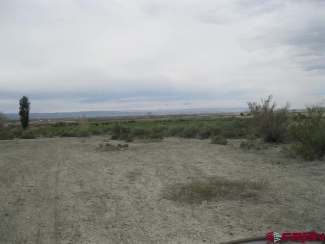 3525 6200th Road Olathe, CO 81425 - Photo 8 of 9