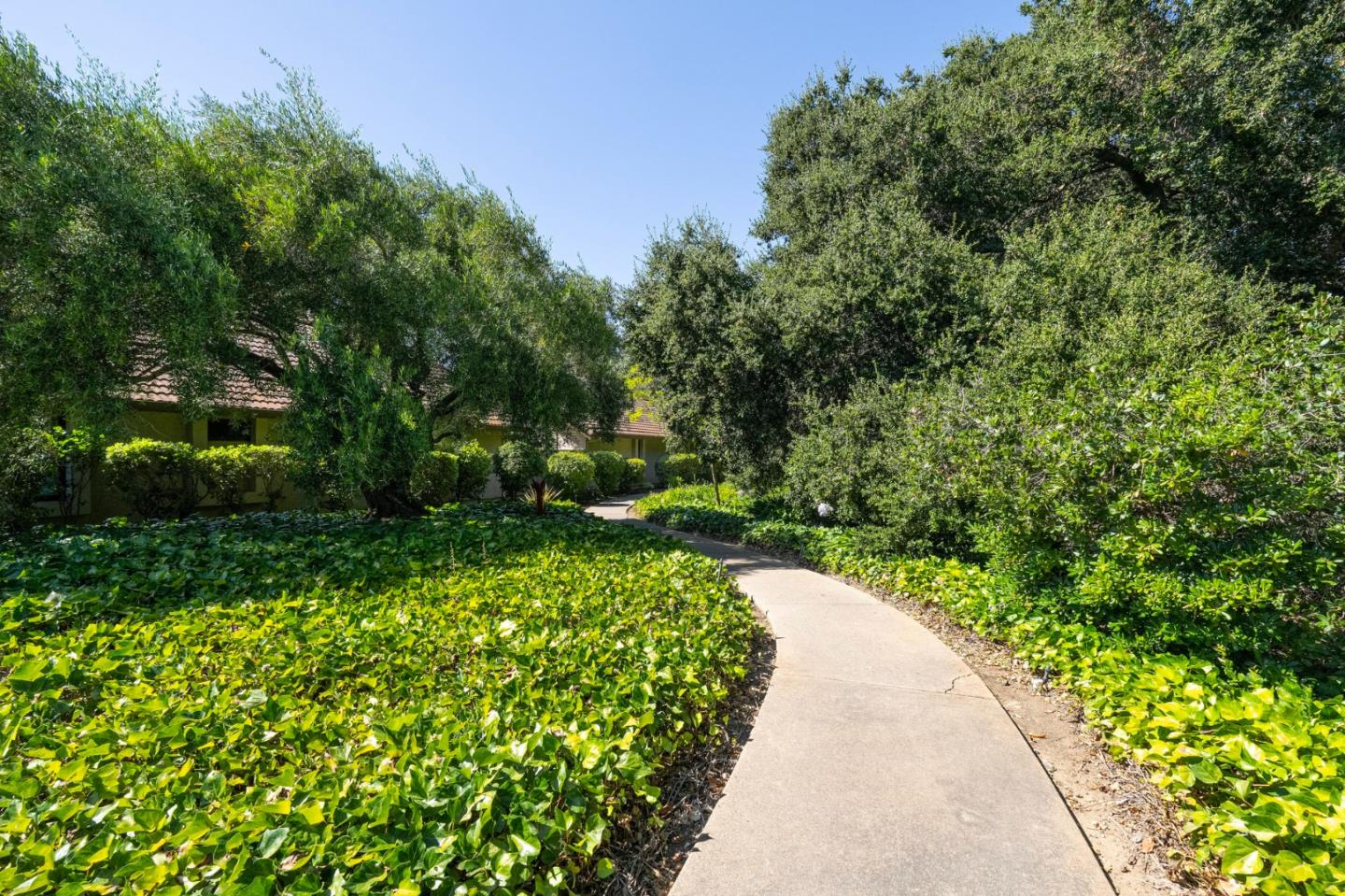 1903 Milano Way Mountain View, CA 94040 - Photo 42 of 48 a view of flower garden with a pathway