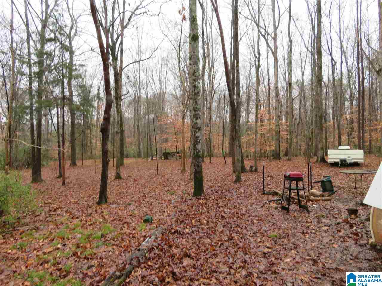 138 Cedar Grove Road West Blocton, AL 35184 - Photo 10 of 44