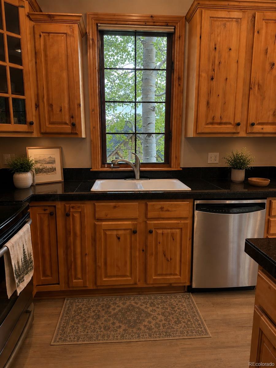 31276 Stone Canyon Road, Unit 76206 Evergreen, CO 80439 - Photo 5 of 23
