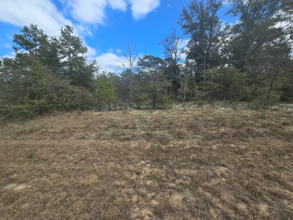 $3,950 | Tbd Hale Avenue, Chipley, FL 32428