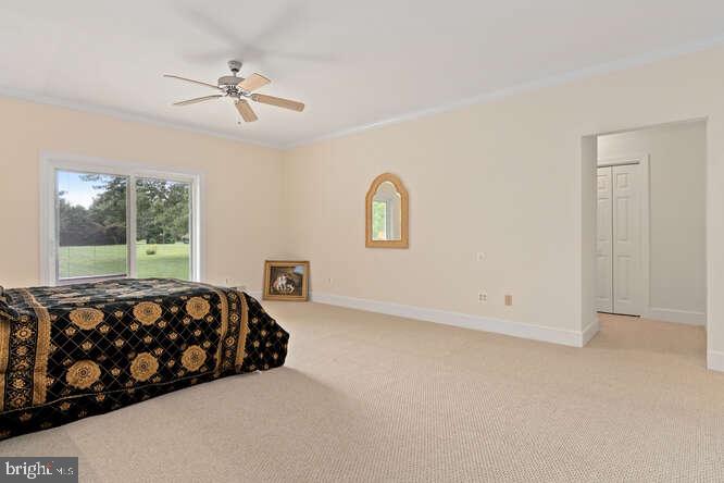 4595 Boone Creek Road Oxford, MD 21654 - Photo 20 of 28