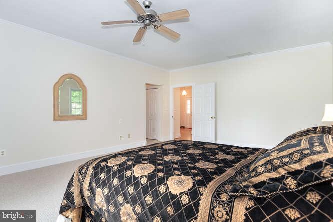 4595 Boone Creek Road Oxford, MD 21654 - Photo 21 of 28