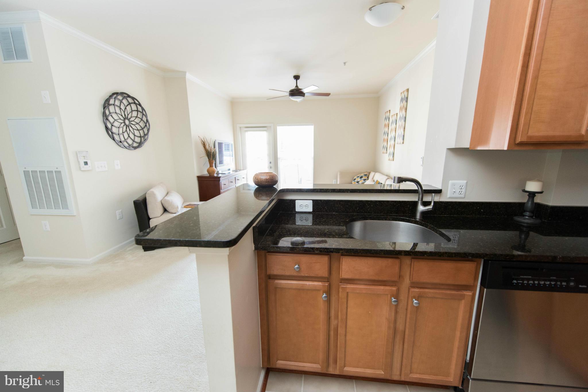 1516 North Point Drive, Unit 104 Reston, VA 20194 - Photo 11 of 25 Kitchen