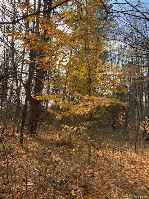 V/l West Mount Morris Road Flushing, MI 48433 - Photo 2 of 6