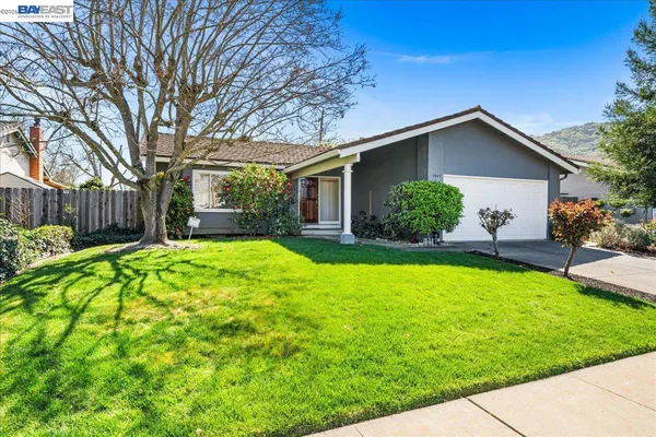 a view of a house with a yard and plants