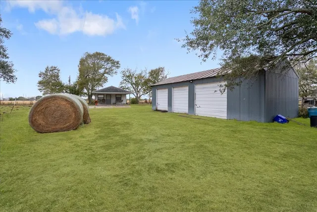 a backyard of a house with plants and a tree