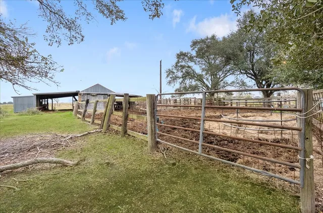 a huge green field with lots of trees