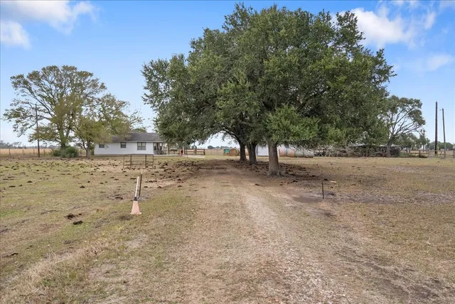 a view of dirt yard with a trees