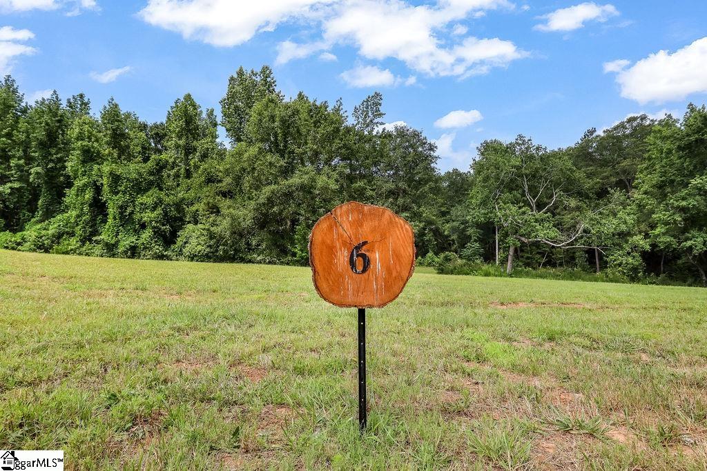 151 Flowing Rock Road, Unit LOT 6 Honea Path, SC 29654 - Photo 3 of 10