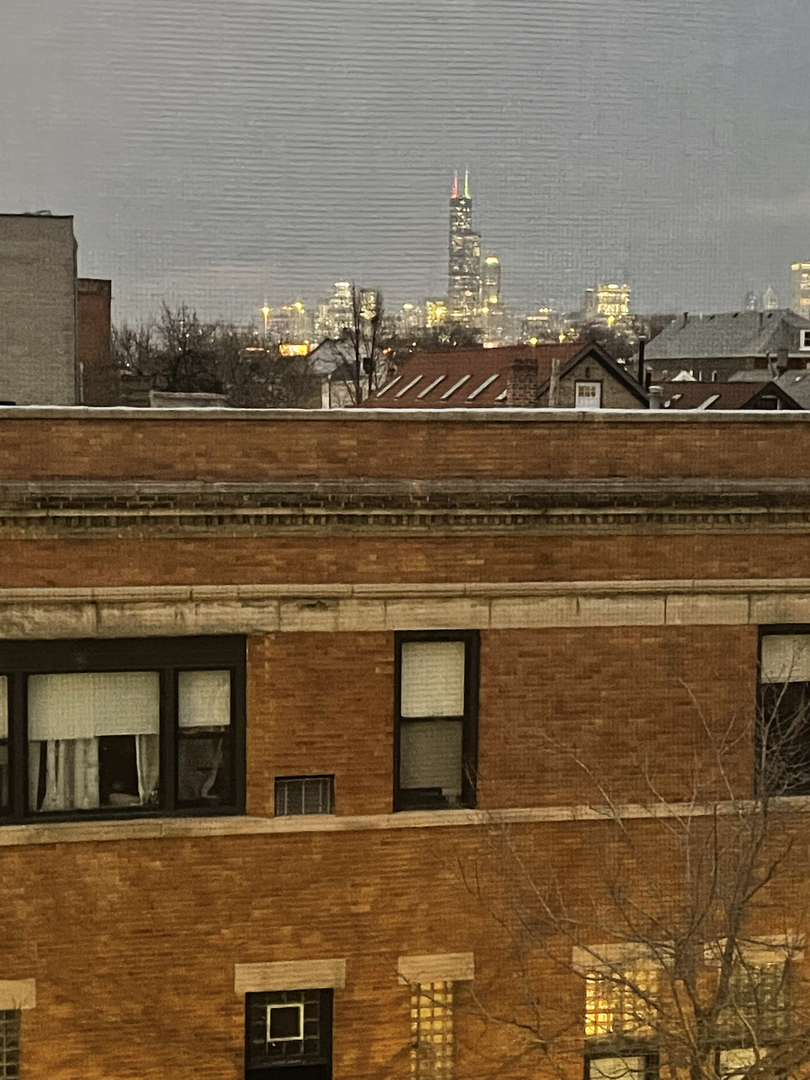 3201 South Morgan Street, Unit 3F Chicago, IL 60608 - Photo 11 of 12