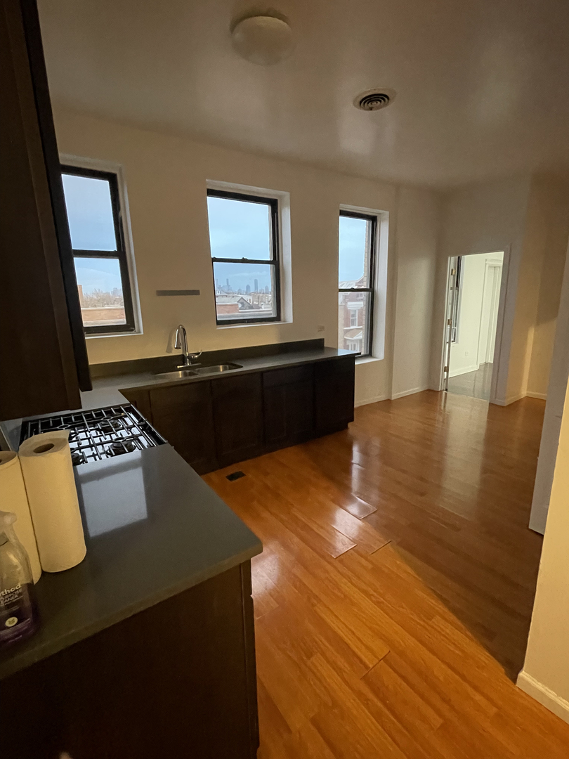 3201 South Morgan Street, Unit 3F Chicago, IL 60608 - Photo 8 of 12